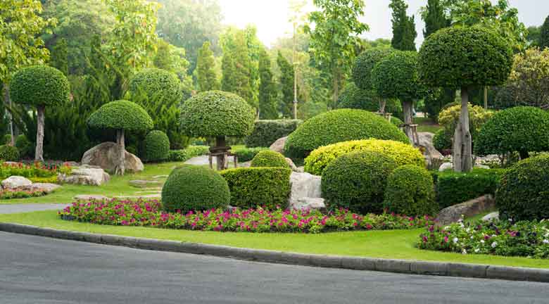 How To Build Luxury Landscape